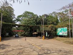 -海南热带野生动植物园