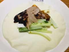 -守柴炉烤鸭(中海国际店)
