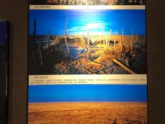 -巴音郭楞蒙古自治州博物馆