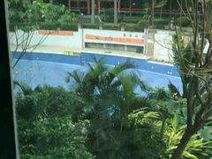 -金港健身游泳(水围店)