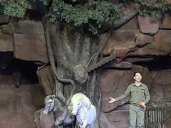 -长鹿旅游休博园