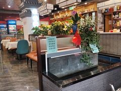 -洞庭家宴·头牌甲鱼(广渠门店)