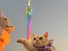-二沙岛艺术公园