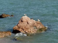 -海驴岛(荣成市)