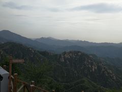 -大岭沟猕猴桃谷风景区