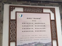 -玉泉观