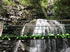 -藏龙百瀑风景区