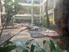 -白虎自助餐厅·真老虎·景观自助餐厅(广州长隆酒店)