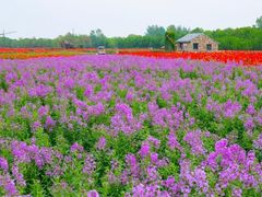 -江苏三台山国家森林公园