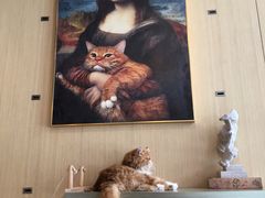 -飞行喵MR PILOT|猫舍·猫咖(静安大融城店)