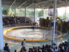 -泉州海丝野生动物世界