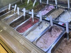 -鹤茶野所(上海首店)