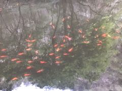 -北京上方山国家森林公园