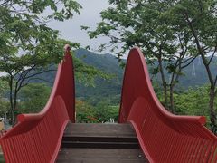 -白石龙音乐公园