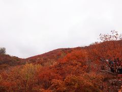 -周口店坡峰岭风景区