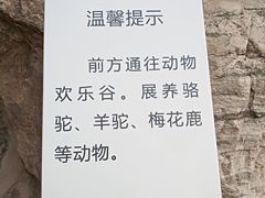 -西安世博园