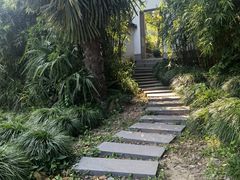 -苏州上方山国家森林公园