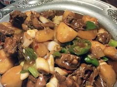-凯撒尔新疆特色主题餐厅(青山店)