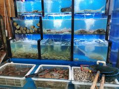 水产区-老东镇啤酒屋海鲜加工·蒸汽海鲜·海鲜烧烤(台东店)