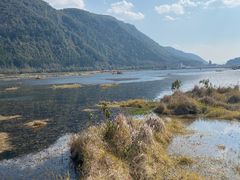 -腾冲北海湿地