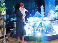 -乐从天佑城海洋馆
