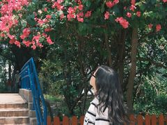-九龙公园