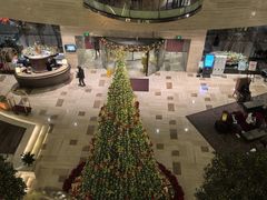 -皇朝尊会(龙之梦大酒店)