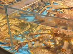 -渔傅·霞浦滩涂海鲜(建平店)