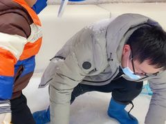 -Mr·Kuma酷么先生雪之乐园