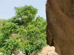 -碓臼峪自然风景区