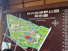 -上海长兴岛郊野公园