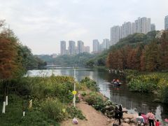 -重庆彩云湖湿地公园