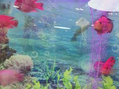 -雅悦齿科(顾村公园店)