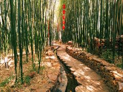 -竹泉村旅游度假区