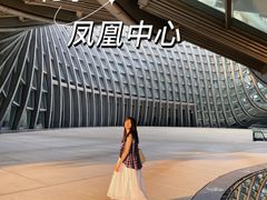 -凤凰中心