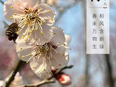 -花开海上生态园