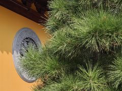 -龙华素斋(龙华路店)