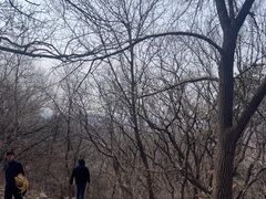 -棋盘山风景区