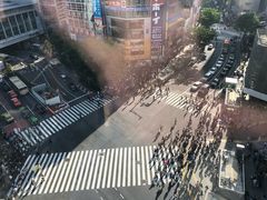 -涩谷区