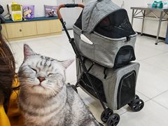 -美联众合动物医院·24h京西诊疗中心