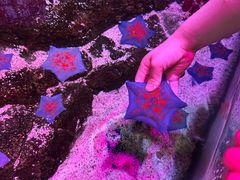 -沈阳海洋探索中心