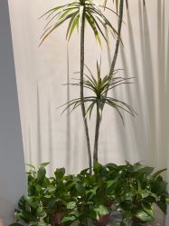 点击看大图 -VE专注问题肌·赛诺龙&科学美肤中心