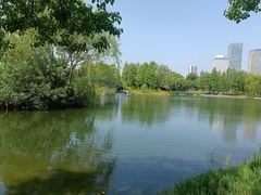 -尚贤河湿地