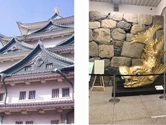 -名古屋城