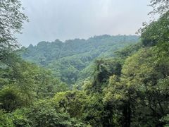 -青城山