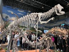 -自贡恐龙博物馆