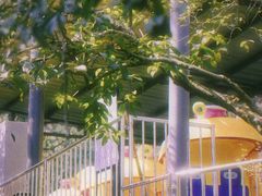 -杭州少年儿童公园