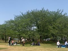 -自然谷恐龙园