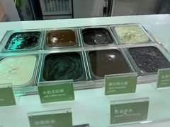 -Salud撒露欧洲冻酸奶(五道口购物中心店)