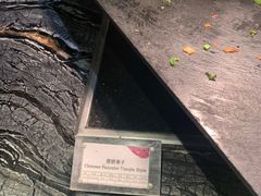 -天津梅江中心皇冠假日酒店